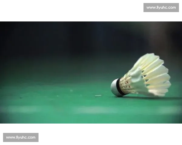 慢镜头抓不住的扣杀:时速 493 公里有多快?